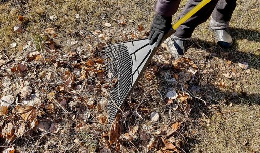 Spring and Fall Cleanup Brampton